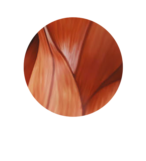 24T-9_1721651533_original_копия