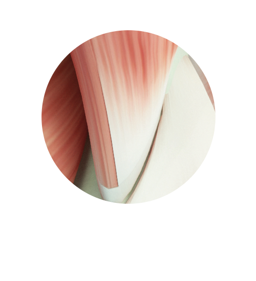 4T-6