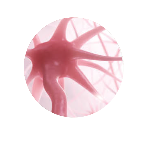 4T-7