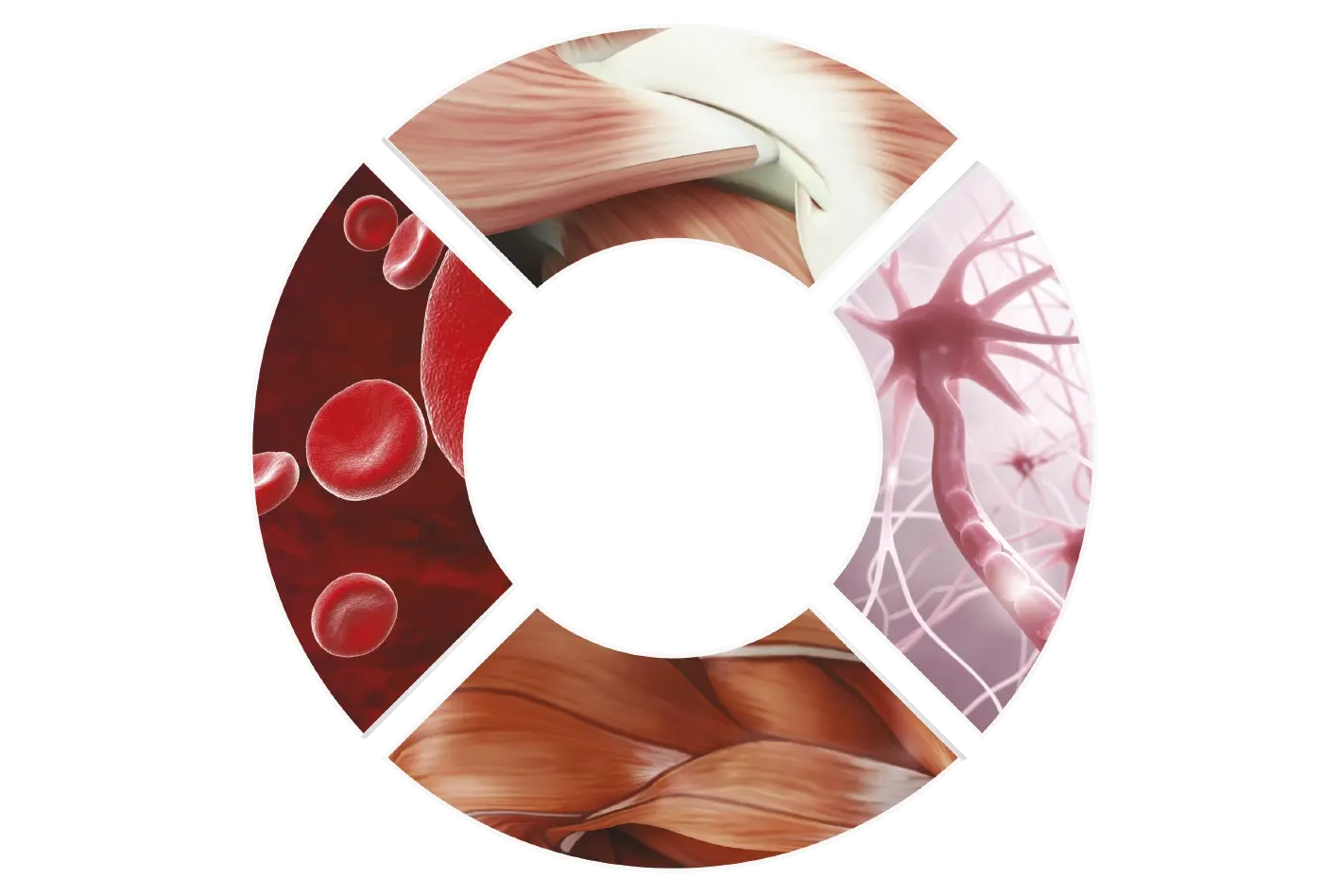 Концепция 4Т (SIS, УВТ, HIL, TR)
