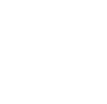 ICON-flexi-easy-v2