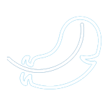ICON-light-weight