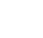 ICONS-10-N