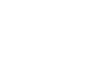 ICONS-12