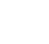 ICONS-15