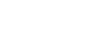 ICONS-20