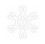 Icon-neuron