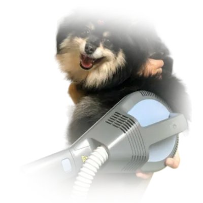 Высокоинтенсивная магнитотерапия BTL-6000 SIS для ветеринарии