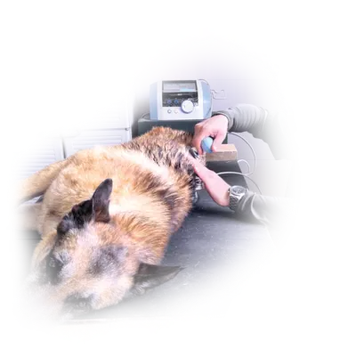 Текар-терапия