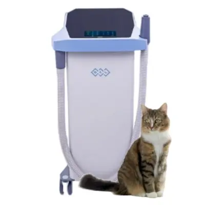 Криотерапия BTL для ветеринарии