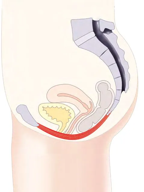 Текар-терапия в урологии