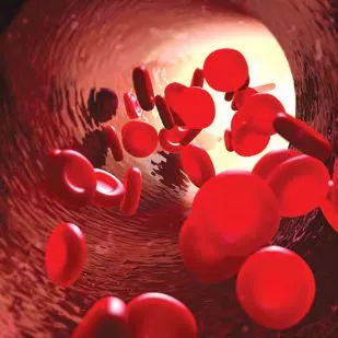 Трансмембранный ионный обмен
 и клеточный метаболизм